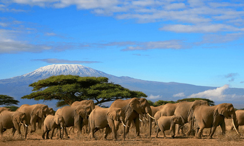 kilimanjaro_national_park