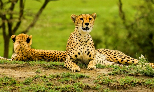 serengeti_national_park