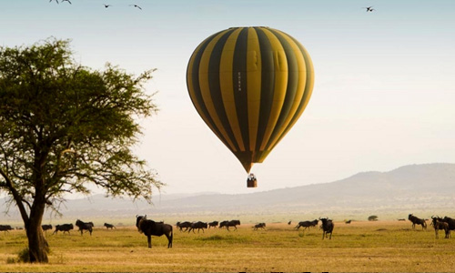 tanzania_balloon_safaris