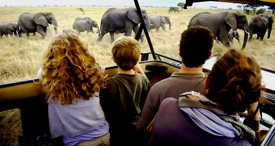 Tanzania-Family-Safari-lodge-camping-Safarika-Africa