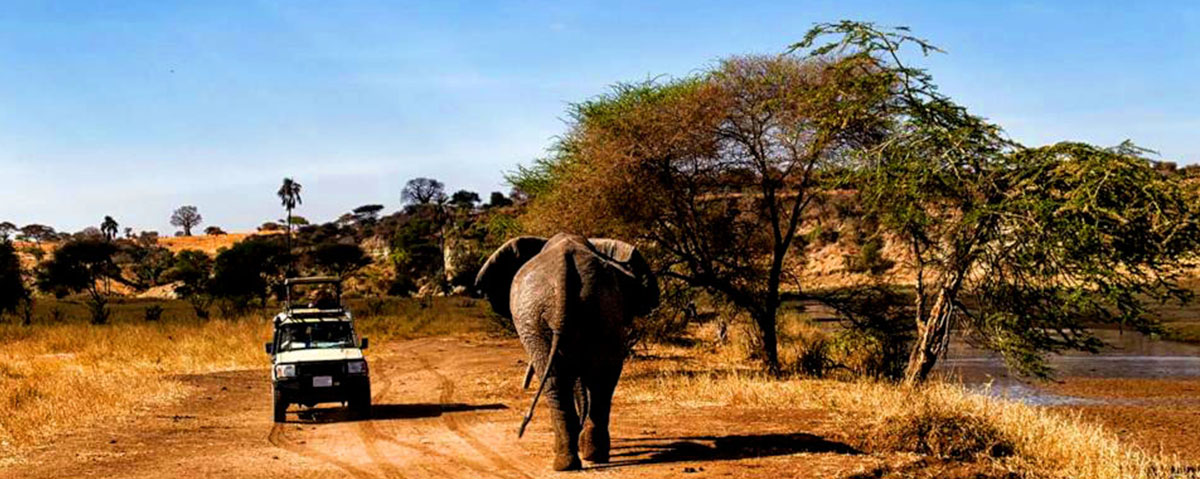 Tanzania Travel Restriction safarika africa
